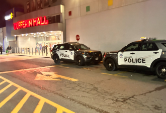 多伦多Dufferin Mall珠宝店被抢劫：五名蒙面嫌犯持大锤抢走珠宝