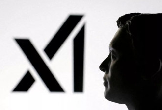 潜在商机堪比全球经济规模 马斯克xAI打造“世界模型”