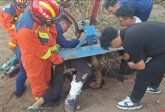 切割机突然反弹！向男子腹部切去……