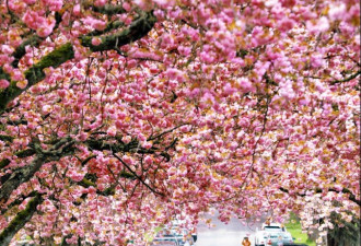 加拿大有3个城市跻身世界最佳城市之列，但多伦多榜上无名