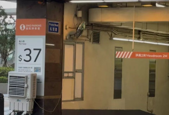 寸土寸金的香港：油车是"重奢"，电车则属"轻奢"