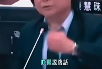 民进党王世坚"从从容容游刃有馀"成神曲两岸爆火