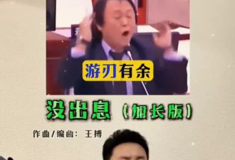 民进党王世坚"从从容容游刃有馀"成神曲两岸爆火