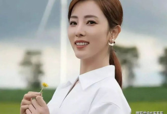 从央视一姐到带货主播，李思思如今怎样了？