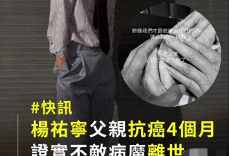 男星杨祐宁父亲去世，父子最后画面感人