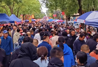 刚从东北回来，不知当讲不当讲……