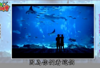 第一次约会去哪里？日本人选择出人意料
