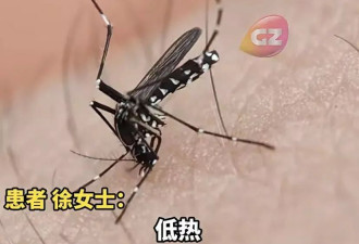 基孔肯雅热确诊超2万例，一个重症都没有