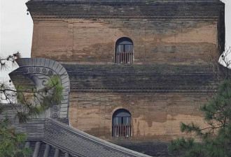 大雁塔受潮 西安连续一个多月降雨遍地长蘑菇