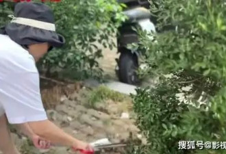 袁立近况曝光，扫大街清理垃圾累到低血糖，罕见露面瘦了一大圈