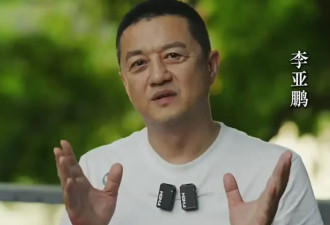 李亚鹏官宣离婚，和海哈金喜和平分手，离婚原因不是缺钱