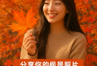 2025“枫情万种”图片征集：你的枫叶照值钱啦！快来拿礼品卡