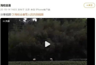 李亚鹏再次官宣离婚：因还不上债老婆孩子跑路了？