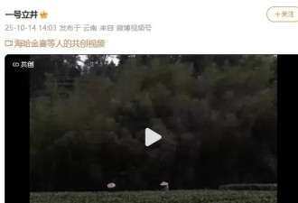 李亚鹏再次官宣离婚：因还不上债老婆孩子跑路了？