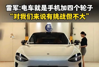 雷布斯的“速度”与“无情”