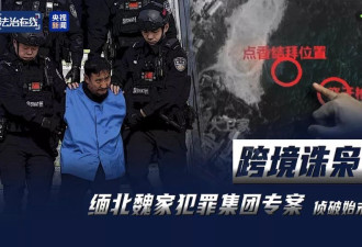接班人杀人祭天，缅北果敢魏家犯罪集团专案细节曝光