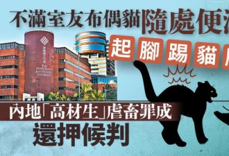 内地学生踢死猫 香港判监5个月!斥“违背人性”