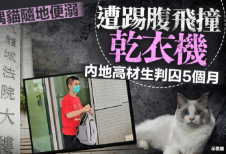 内地学生踢死猫 香港判监5个月!斥“违背人性”