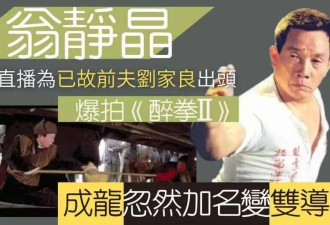 翁静晶炮轰成龙 旧怨被扒!《醉拳2》抢功加导演名