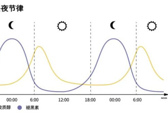 赚到了！一个快速入睡的邪修大法