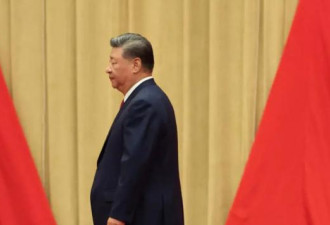 四中全会前, 北京连发8文 这家党媒再释信号