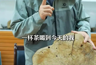 李亚鹏官宣离婚后首发声，终于明白小19岁前妻和王菲为何嫁给他！