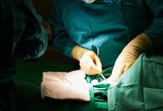 被骗到缅甸 女模诈骗业绩未达标 遭活摘器官惨死