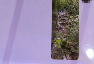 公墓上演“警匪片”！嫌疑人携款狂奔，辅警骨折仍坚持抓人