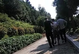 公墓上演“警匪片”！嫌疑人携款狂奔，辅警骨折仍坚持抓人
