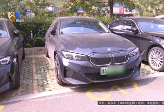 “开车13年没遇过”，浙江女子上班途中被吓坏！