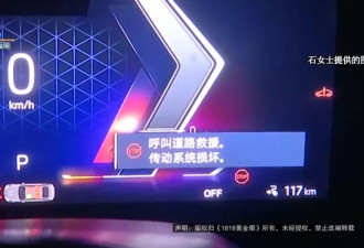 “开车13年没遇过”，浙江女子上班途中被吓坏！