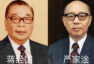 蒋介石死后,严家淦接班,蒋经国为何会容忍3年...