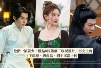 他们一演就火！ 盘点8位收视灵丹男女主角