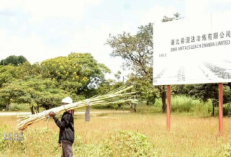 800亿天价索赔 中国企业被非洲人盯上了!