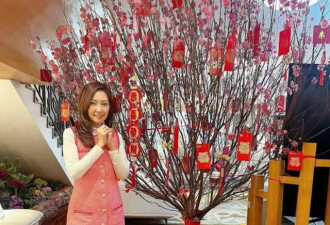 TVB前新闻小花嫁上市公司太子爷，成豪门阔太
