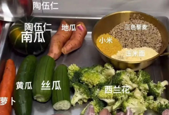 中产最新的减肥方式你绝对想不到——吃猫饭