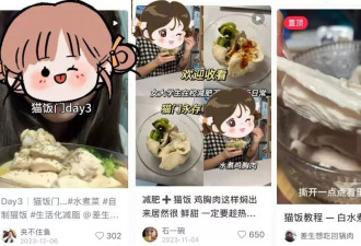 中产最新的减肥方式你绝对想不到——吃猫饭