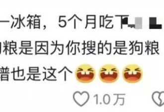中产最新的减肥方式你绝对想不到——吃猫饭