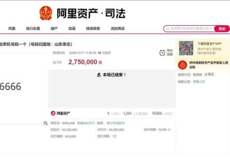 4人出价67次,尾号“66666666”手机号275万元拍出