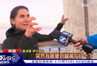 加州海獭突袭游客 抢冲浪板兼咬伤女子脚