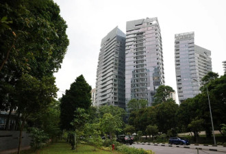 来自福建，“太子”陈志是何方神圣？外媒扒皮