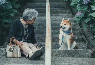 全球面临精神困境，内心空洞麻木与孤独，虚无感