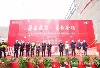 中方CEO问题很大...荷兰“接管”安世内幕被曝