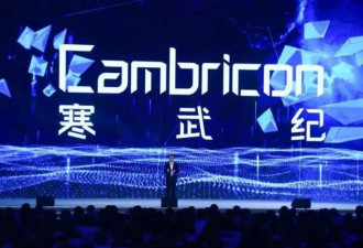 中国AI芯片龙头 营收惊人暴增13倍