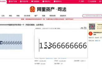 花275万元拍到尾号66666666手机号 法院证实