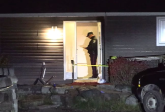 约克区一男子深夜住宅内遇袭身亡，嫌疑人已被拘捕