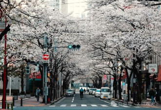 保守主义的伟大胜利：日本战后重生的文明密码