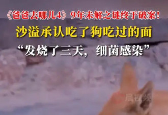 《爸爸去哪儿4》9年未解之谜终于破案！沙溢承认吃了狗吃过的面
