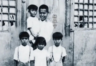 103岁杨振宁去世，象牙塔倒塌
