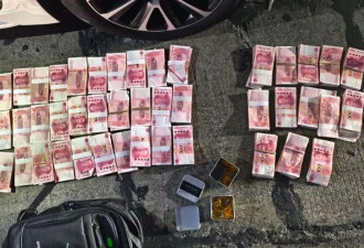 女子草丛藏11万现金！警察却追回66.43万？